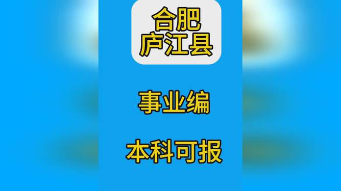 廬江最新職位招聘全面解析，觀點闡述與分析