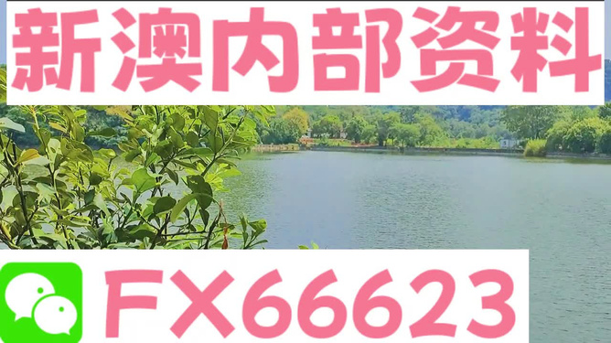 ＂新澳精準資料免費提供網站＂的：靈活性執(zhí)行方案_溫馨版3.17