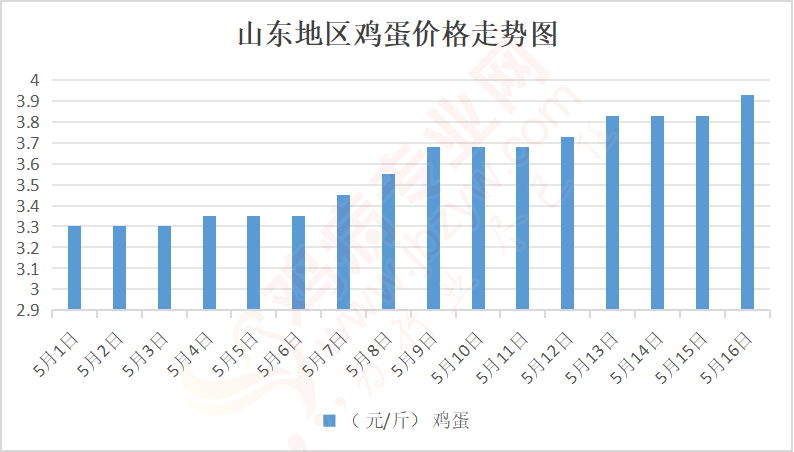 聊城雞蛋行情